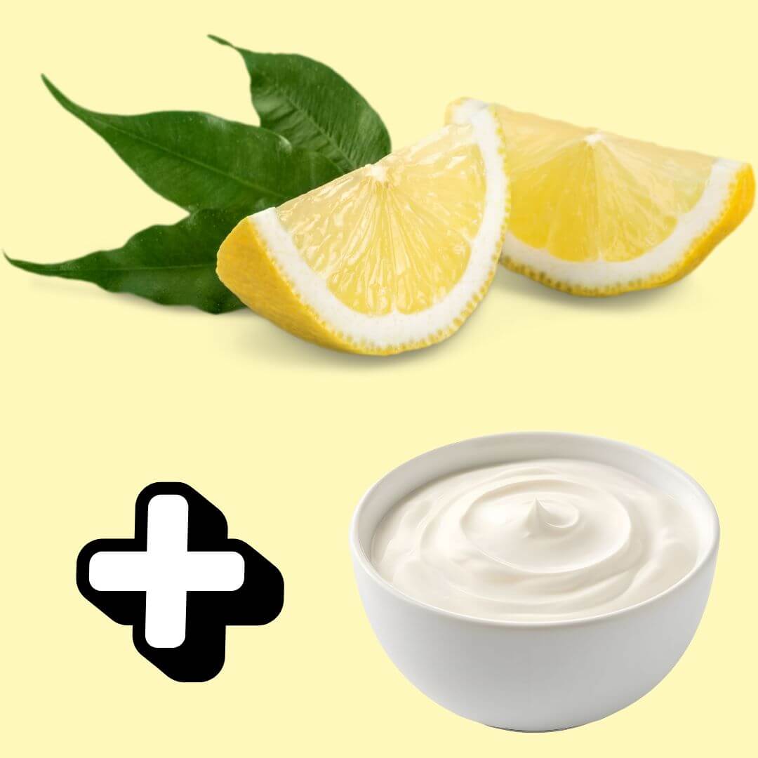 Freeze-Dried [Lemon + Greek Yogurt] Mix