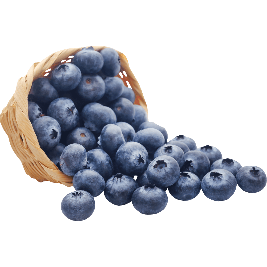 Freeze-Dried Blueberry