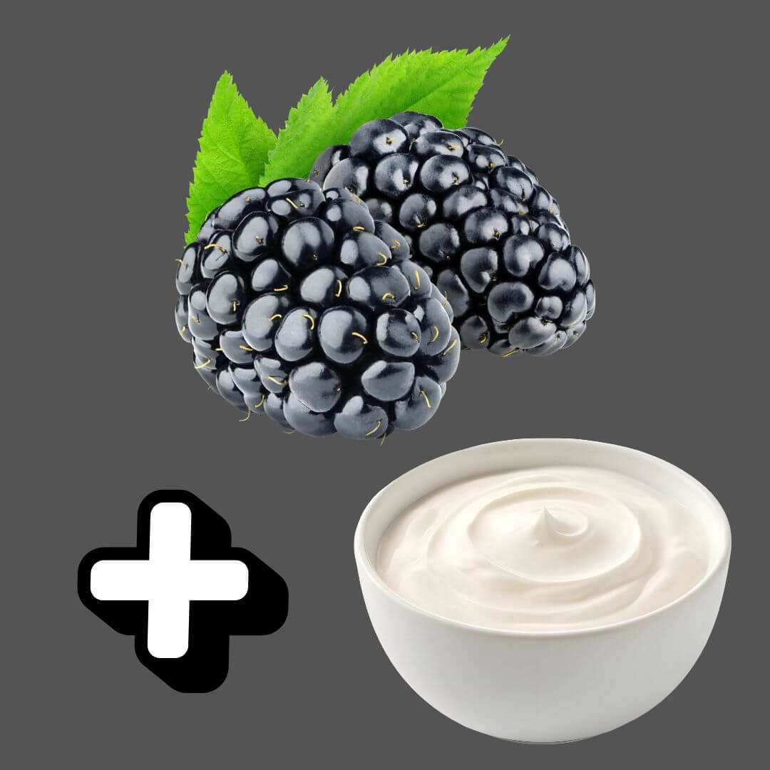 Freeze-Dried [Blackberry + Greek Yogurt] Mix