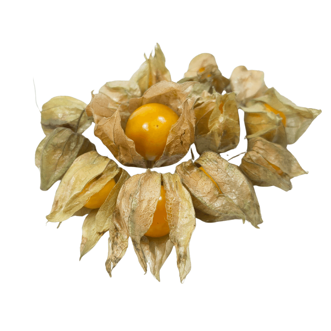 Freeze-Dried Golden Berry