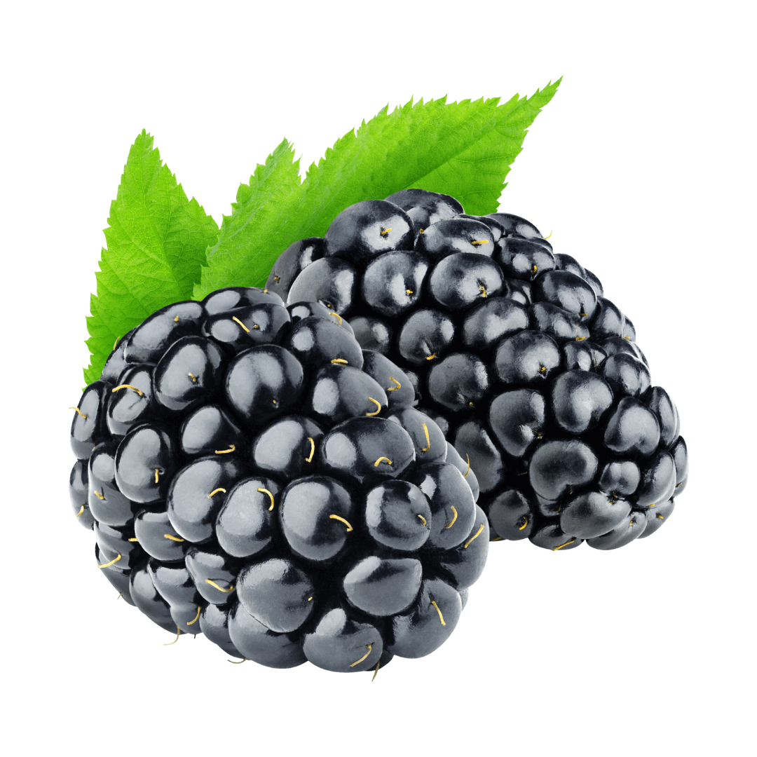 Freeze-Dried Blackberry