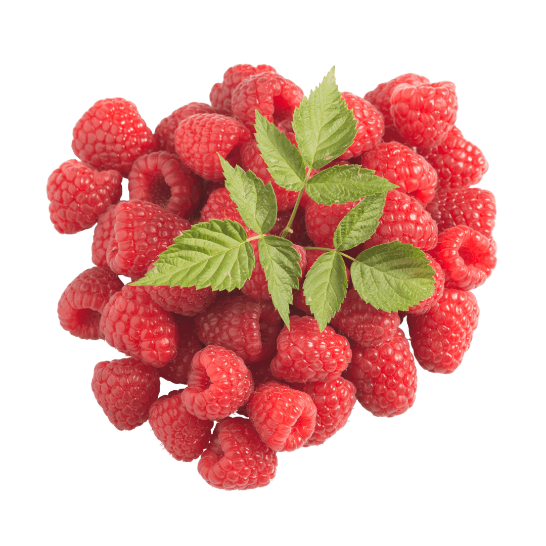 Freeze-Dried Raspberry
