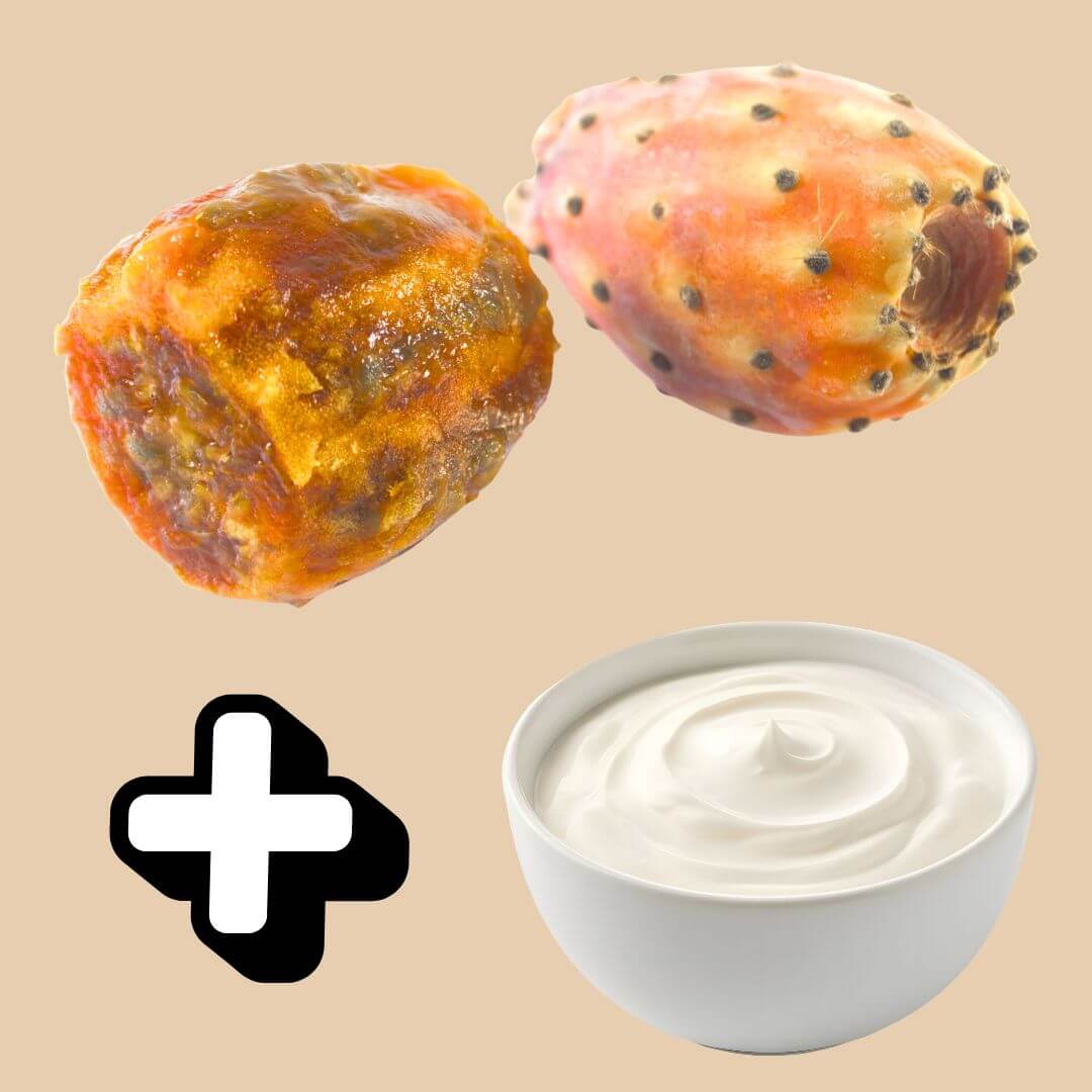 Freeze-Dried [Barbary Fig + Greek Yogurt] Mix