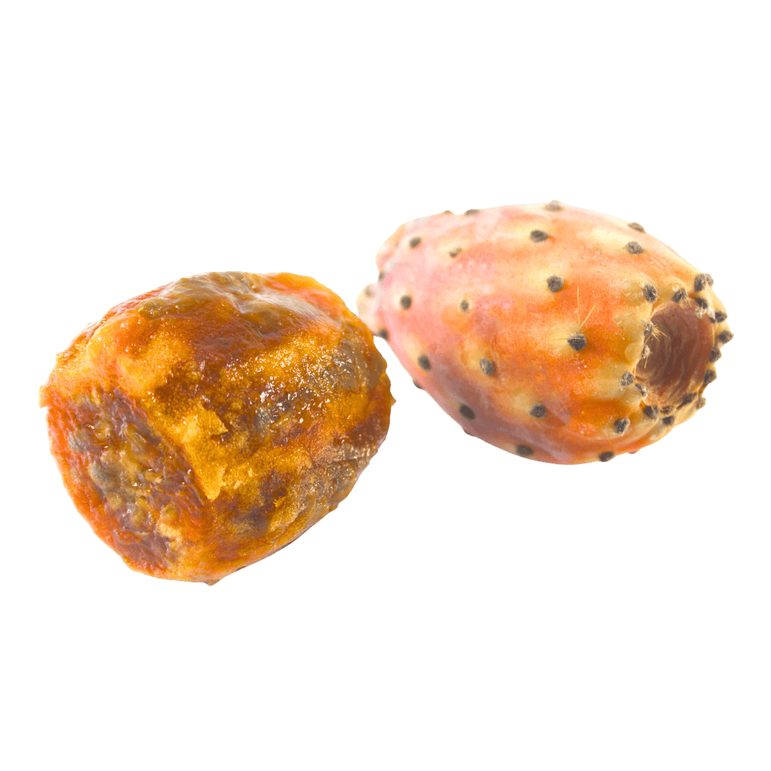 Freeze-Dried Barbary Fig - تين شوكي