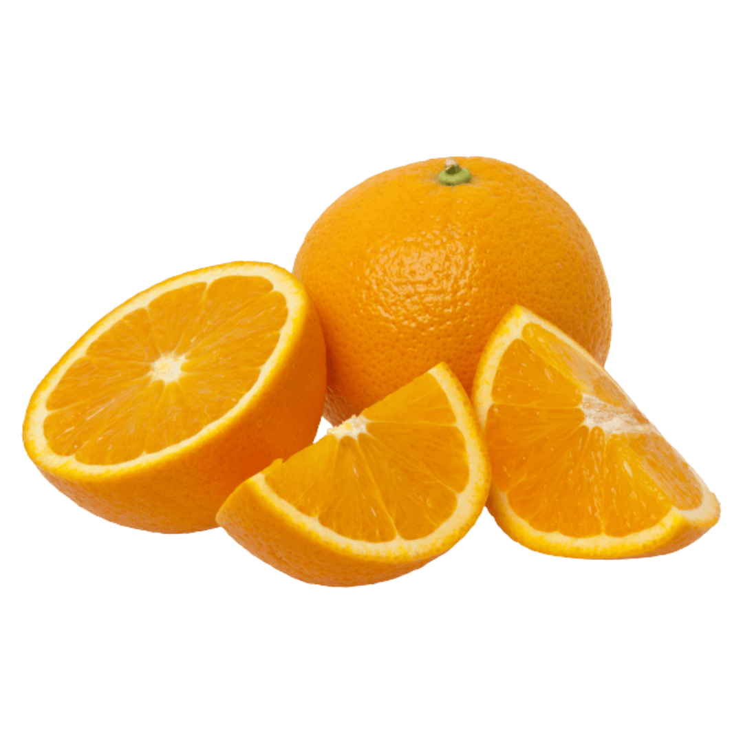 Freeze-Dried Oranges